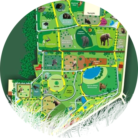 Zoo Map